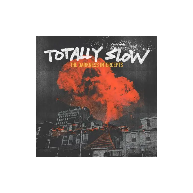 The Darkness Intercepts - Vinyl LP