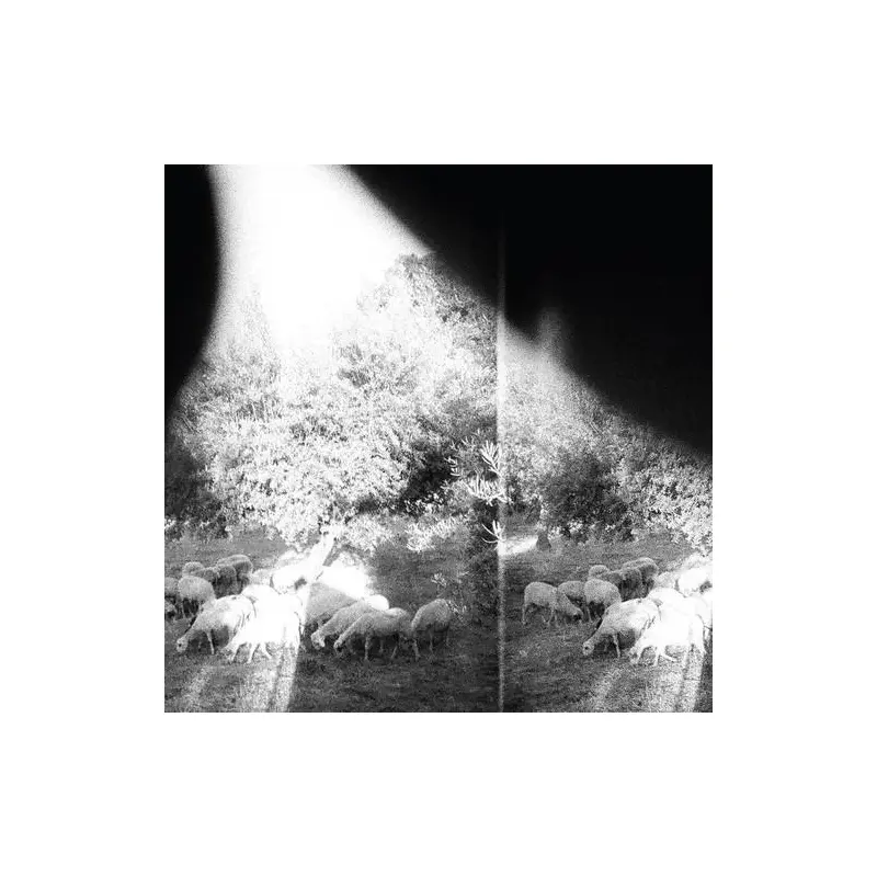 Asunder Sweet & Other Distress - Vinyl LP 180 Gram