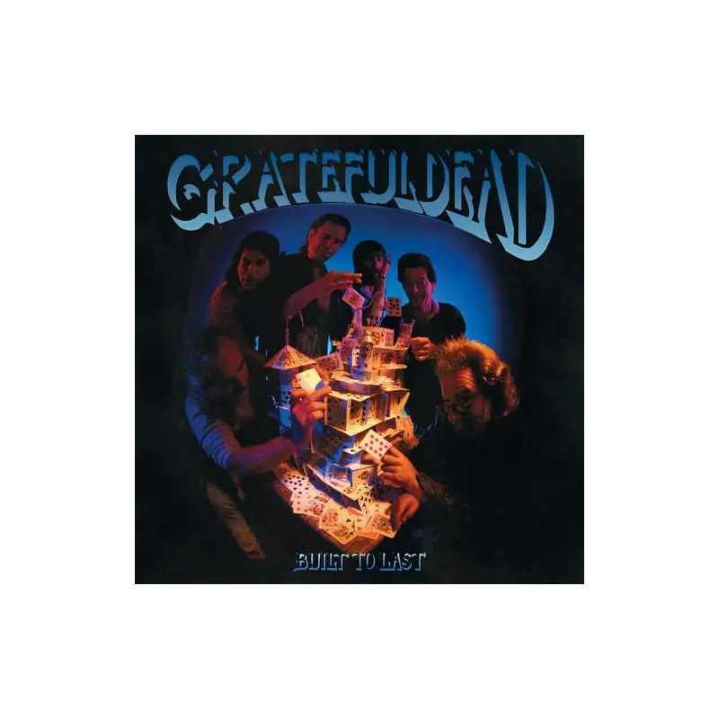 Built To Last - Vinyl LP