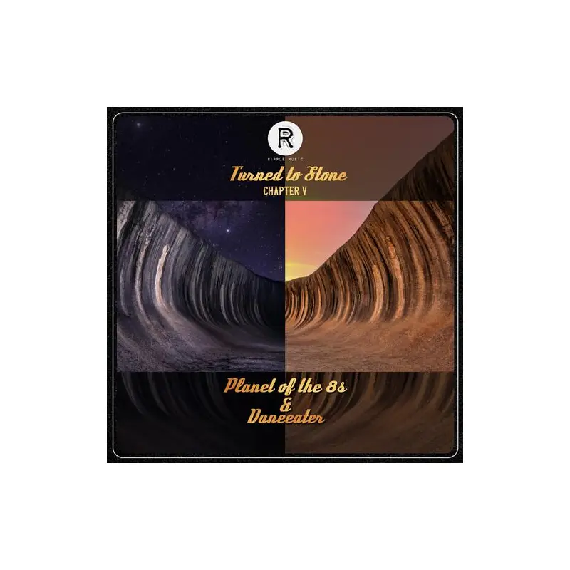 Turned To Stone Chapter 5 - Vinyl LP