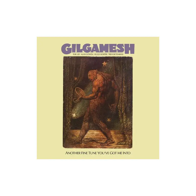 Another Fine Tune You've Got Me Into - Vinyl LP