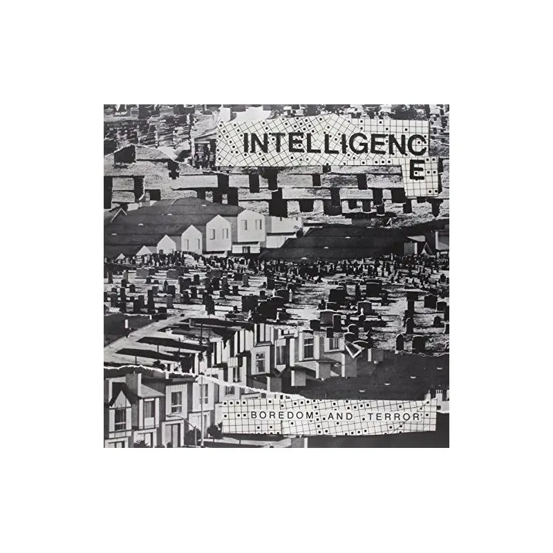 Boredom & Terror / Lets Toil - Vinyl LP