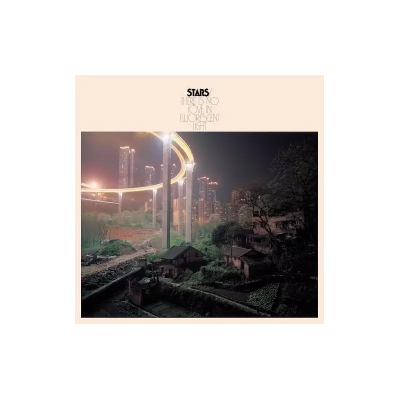 There Is No Love In Fluorescent Light - Vinyl LP