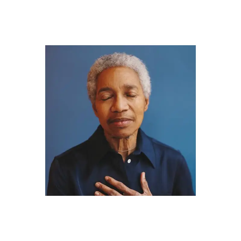 The Ones Ahead - Vinyl LP