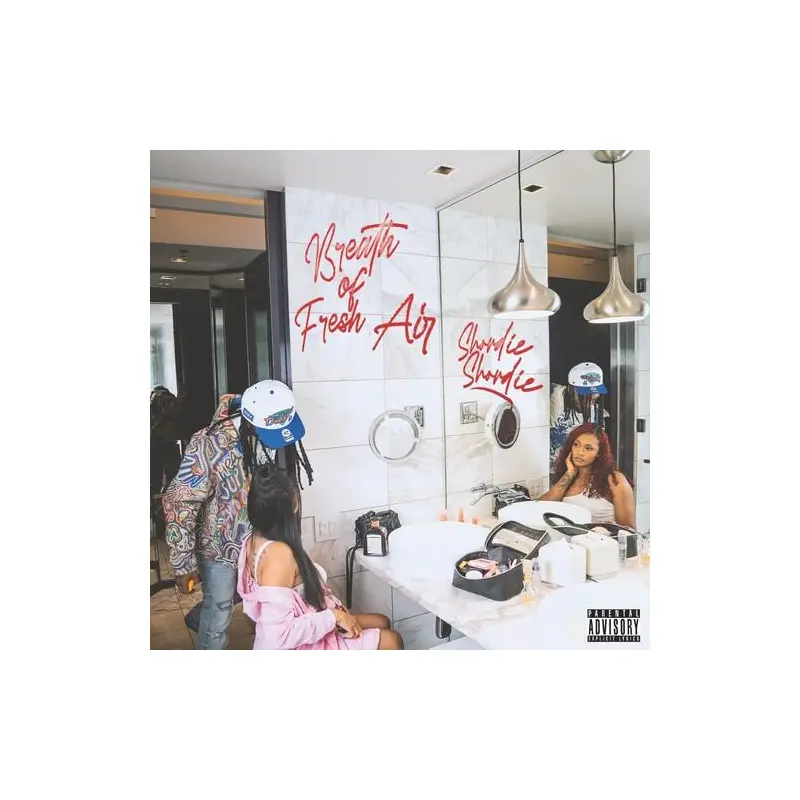 Breath Of Fresh Air - Vinyl LP