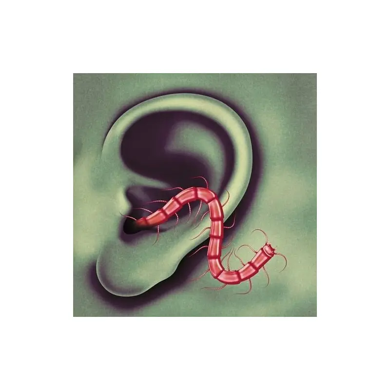 An Odd Entrances - Vinyl LP