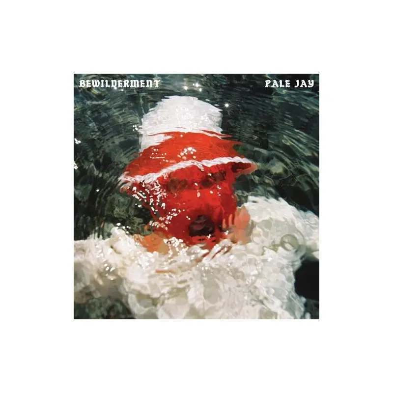 Bewilderment - Vinyl LP