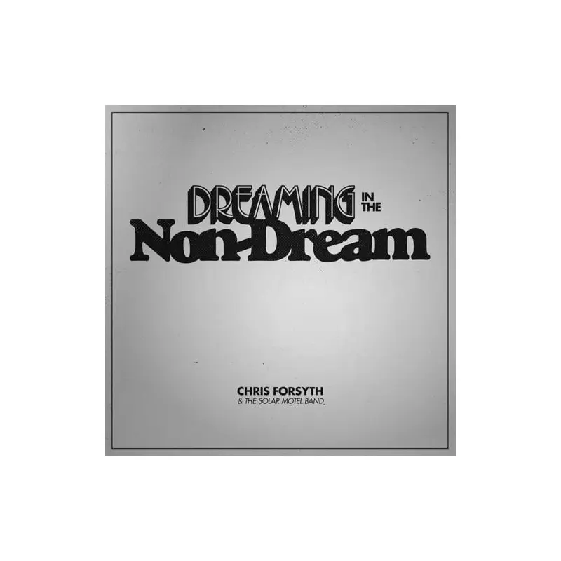 Dreaming In The Non-dream - Vinyl LP