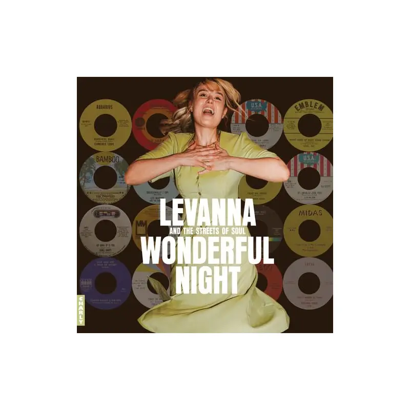 Wonderful Night Curated By Levanna (Various Artists) - Vinyl LP