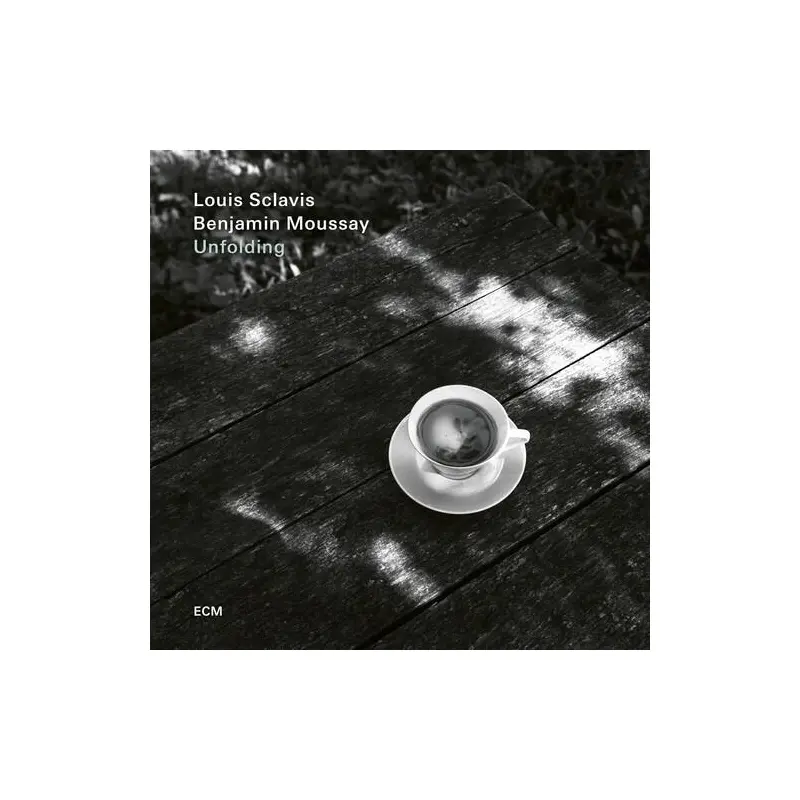 Unfolding - Vinyl LP