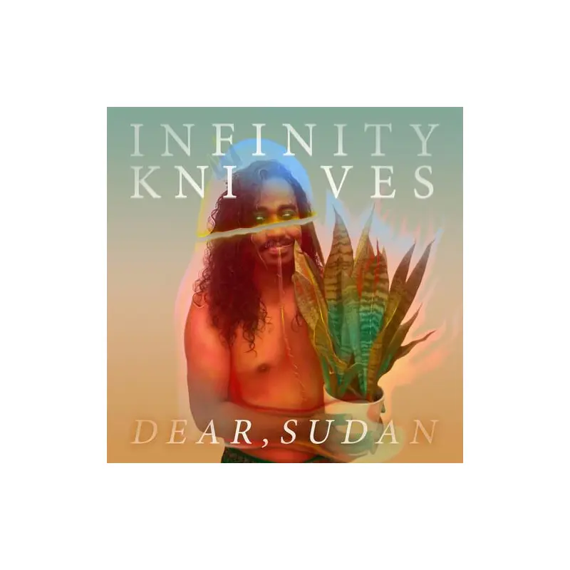 Dear Sudan - Vinyl LP