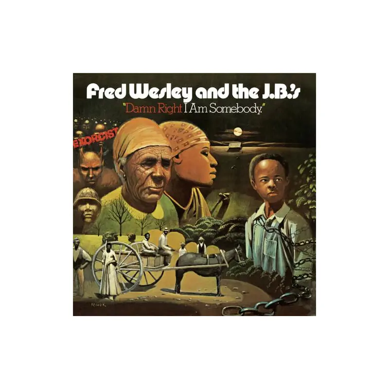 Damn Right I'm Somebody - Vinyl LP