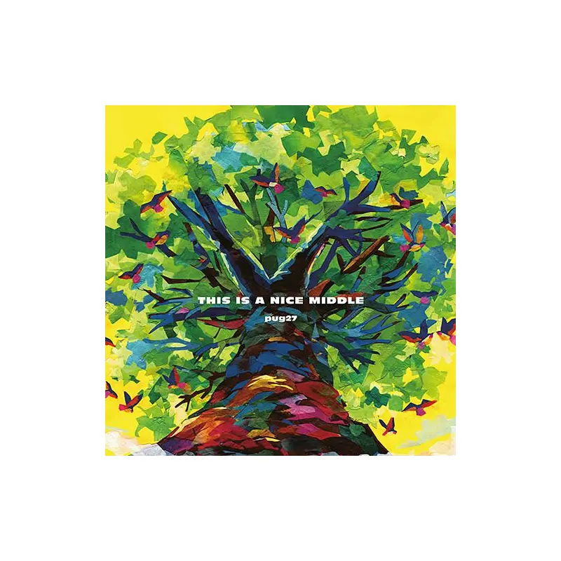 This Is A Nice Middle - Vinyl LP