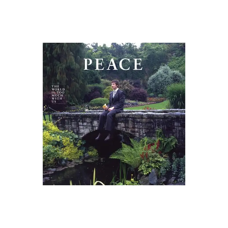 The World Is Too Much With Us - Vinyl LP