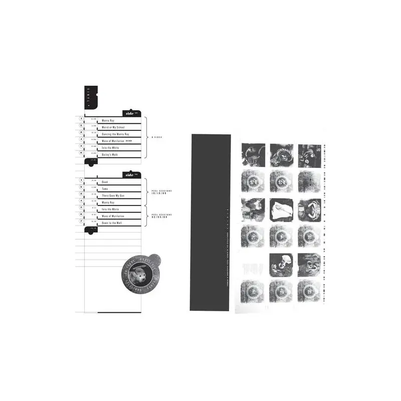 Doolittle 25: B-Sides Peel Sessions & Demos - Vinyl LP 180 Gram