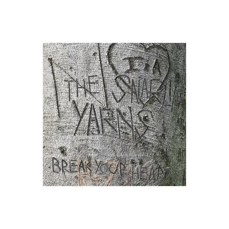 Break Your Heart - Vinyl LP