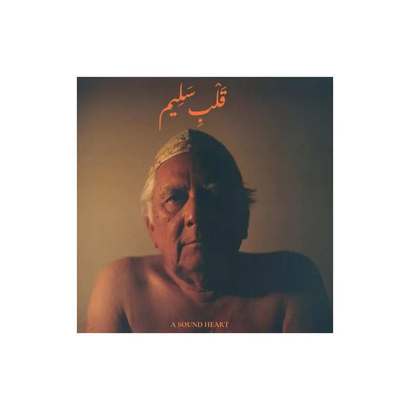 A Sound Heart - Vinyl LP