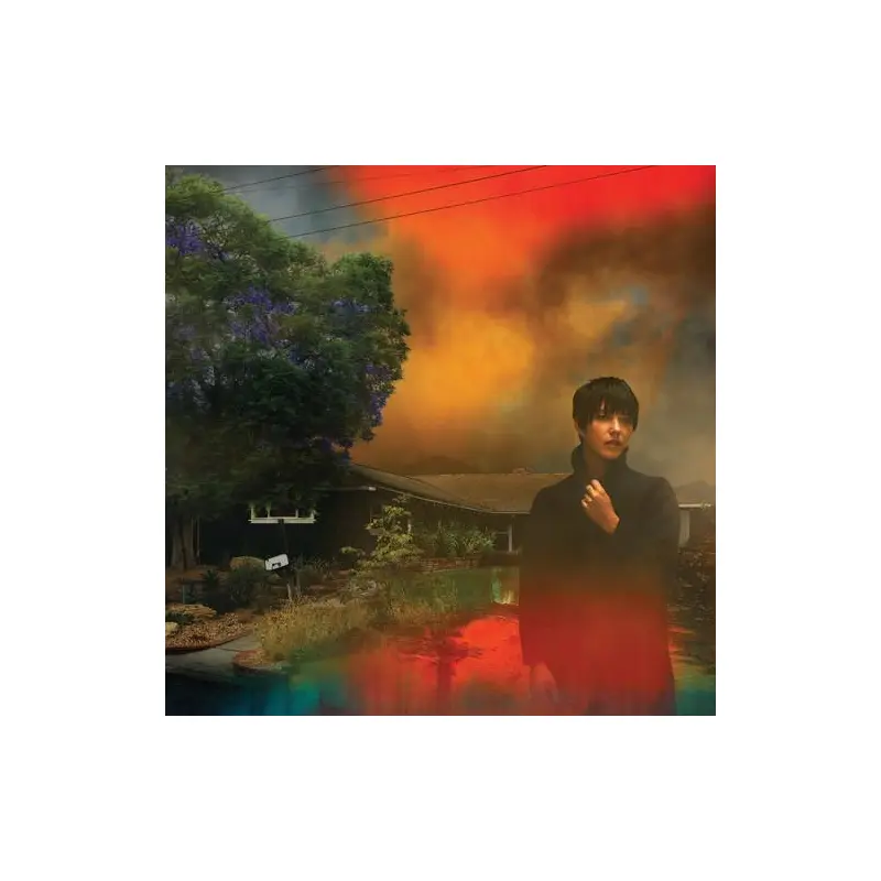 We've Been Going About This All Wrong - Vinyl LP