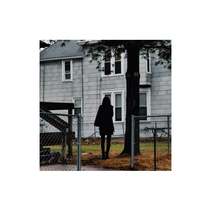 Dark Bird Is Home - Vinyl LP