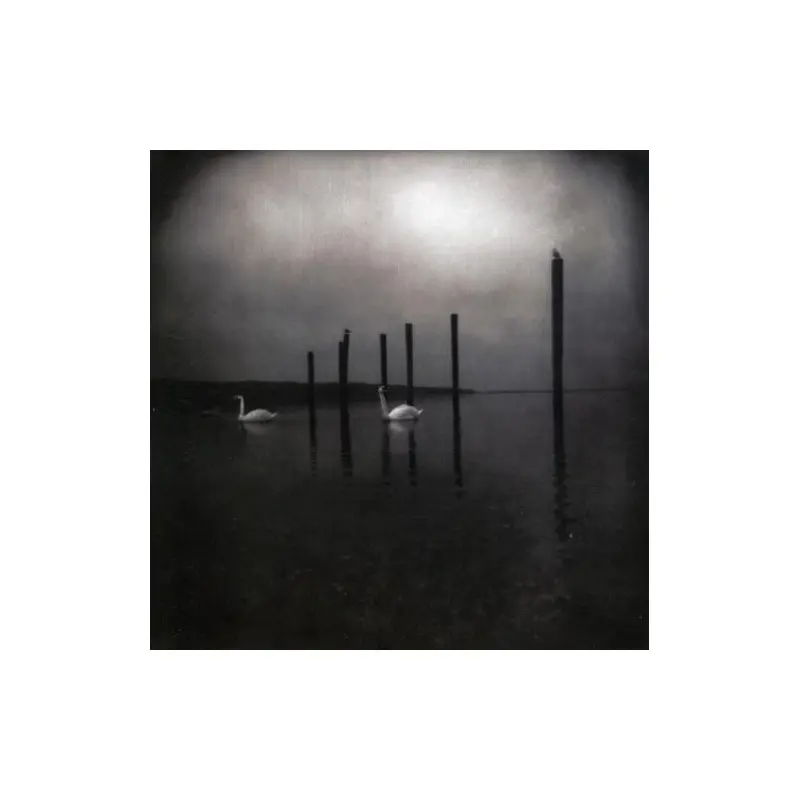 Conference of the Birds - Vinyl LP (Purple)