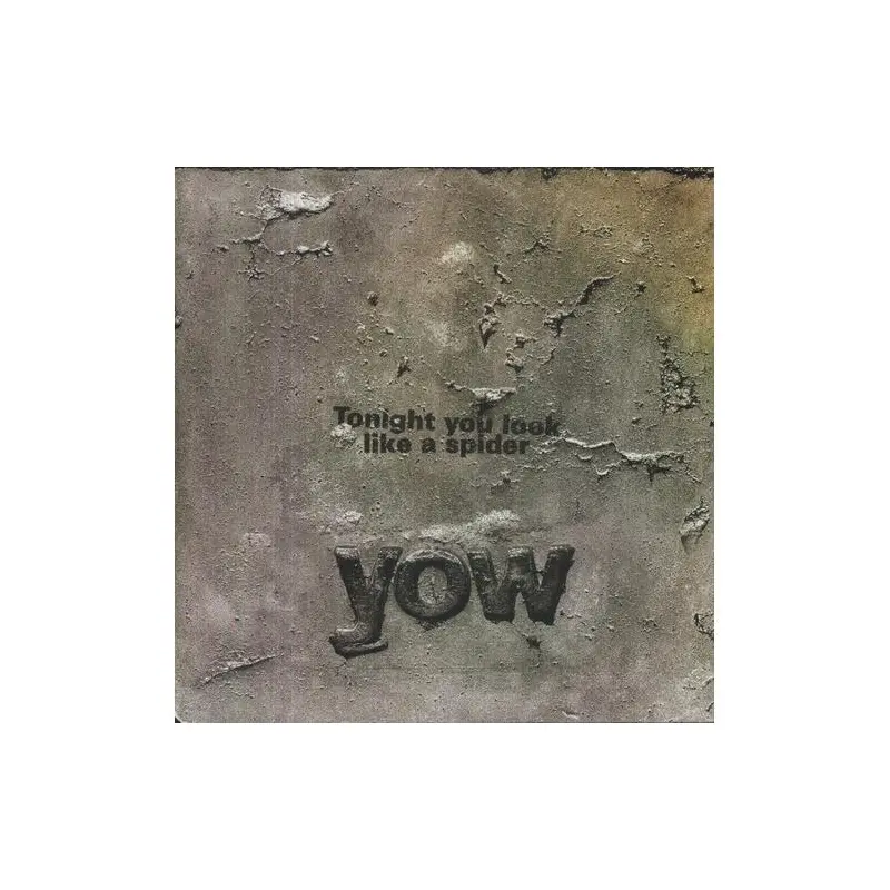 Tonight You Look Like a Spider - Vinyl LP