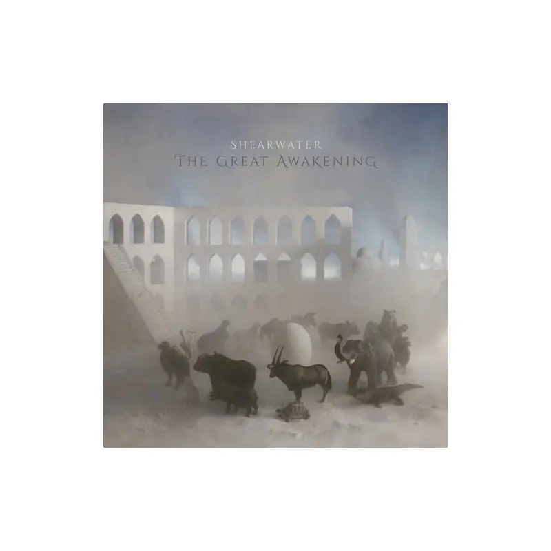 The Great Awakening - Vinyl LP