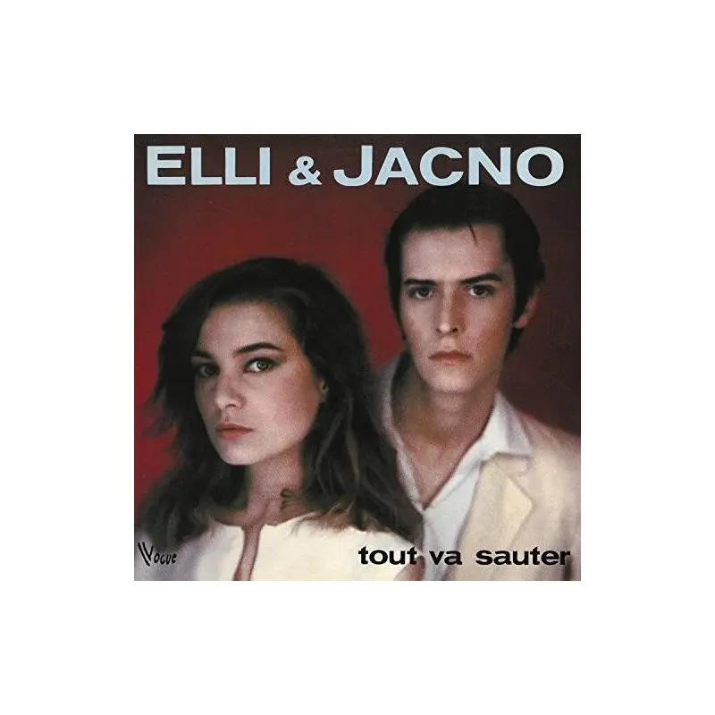 Tout Va Sauter - Vinyl LP