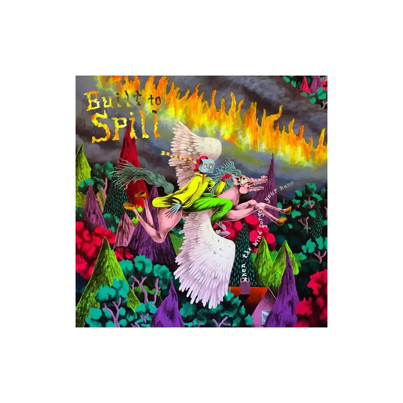 When the Wind Forgets Your Name - Vinyl LP