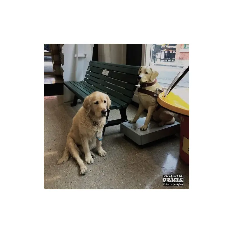 The Option (Red) - Vinyl LP