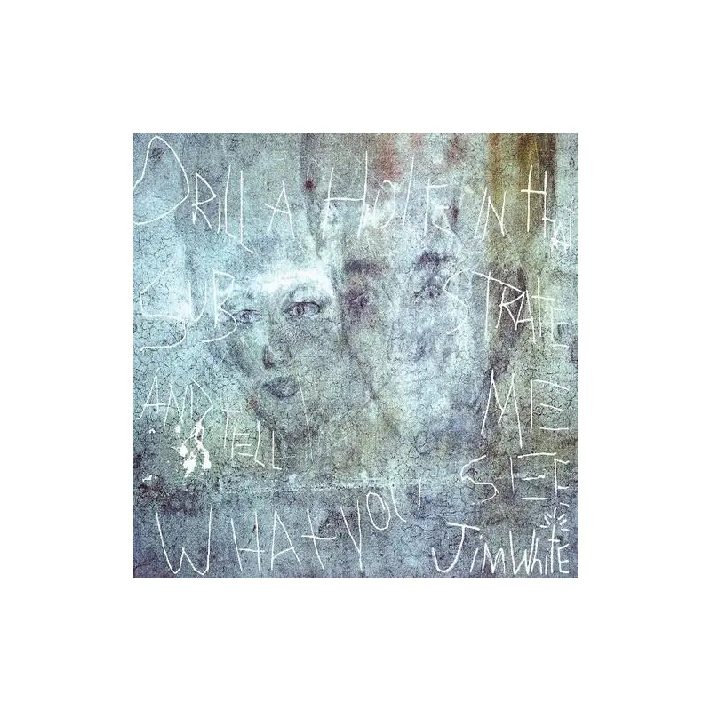 Drill A Hole In That Substrate And Tell Me What - Anniversary Edition Vinyl LP