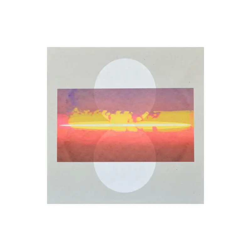 Drone Assembly - Vinyl LP