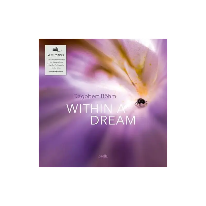 Within A Dream - Vinyl LP