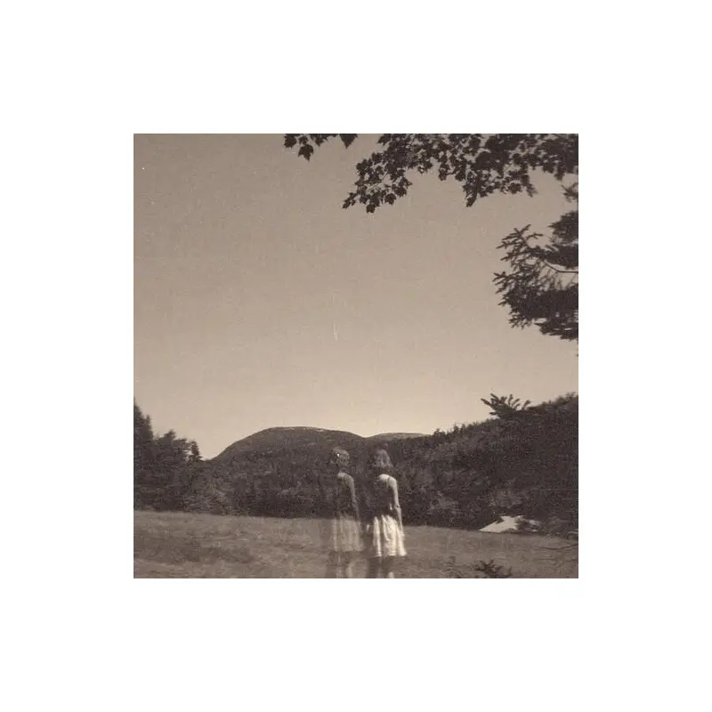 The Malady Of Elegance - Vinyl LP