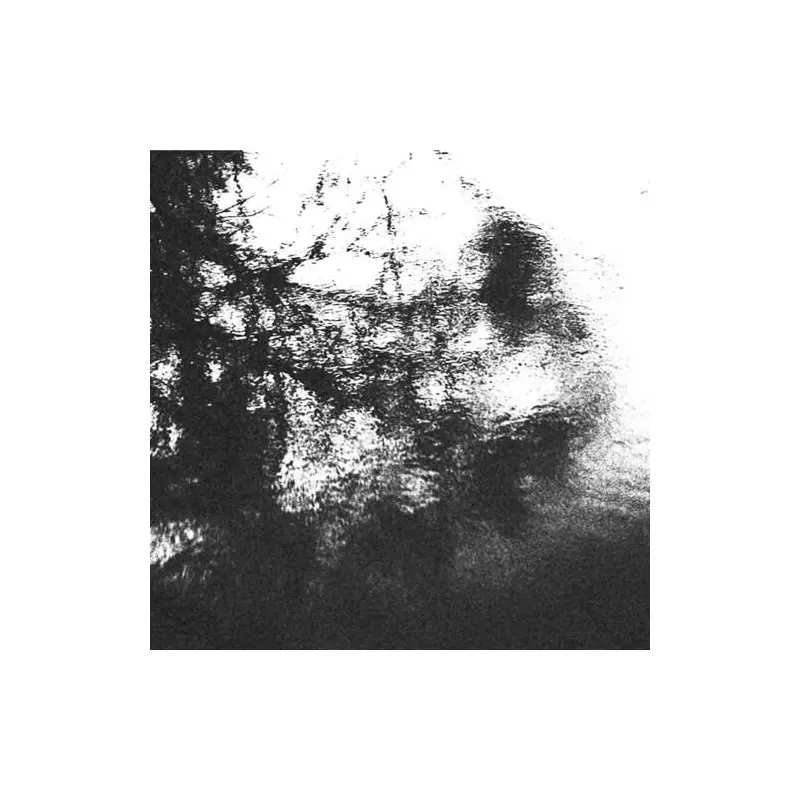 Alluring The Distant Eye - Vinyl LP