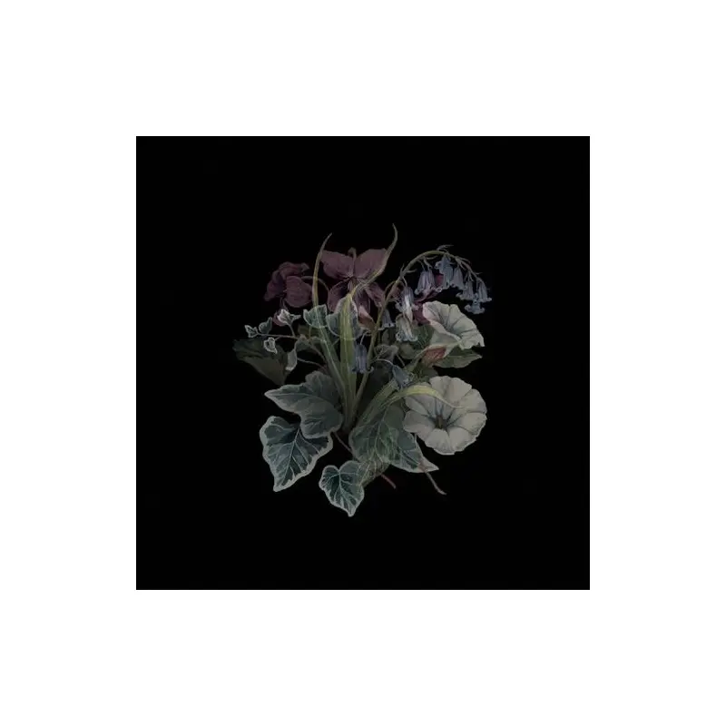 Wildflowers - Limited Edition Vinyl LP (Black)