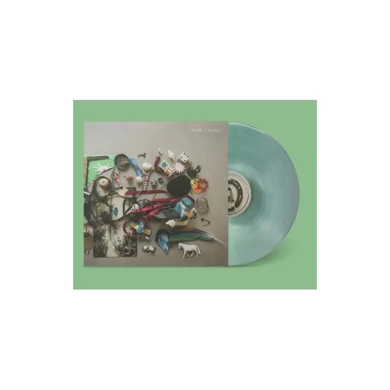 Villagers - Vinyl LP