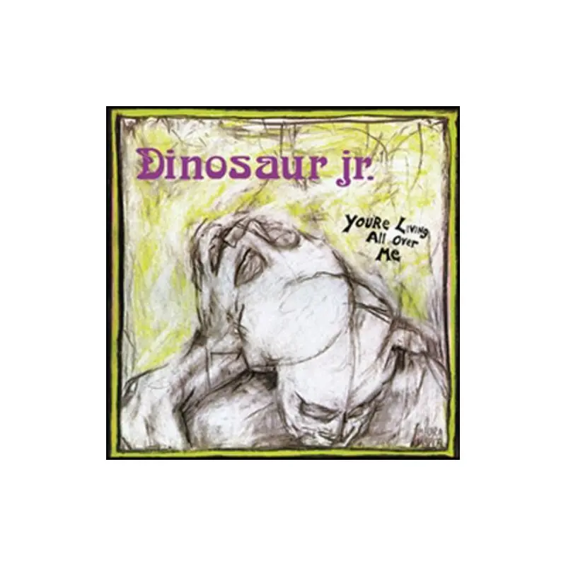 You're Living All Over Me - Vinyl LP