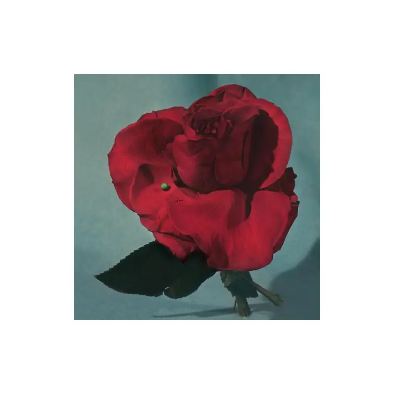 Up on Gravity Hill - Clear w/ Red - Vinyl LP