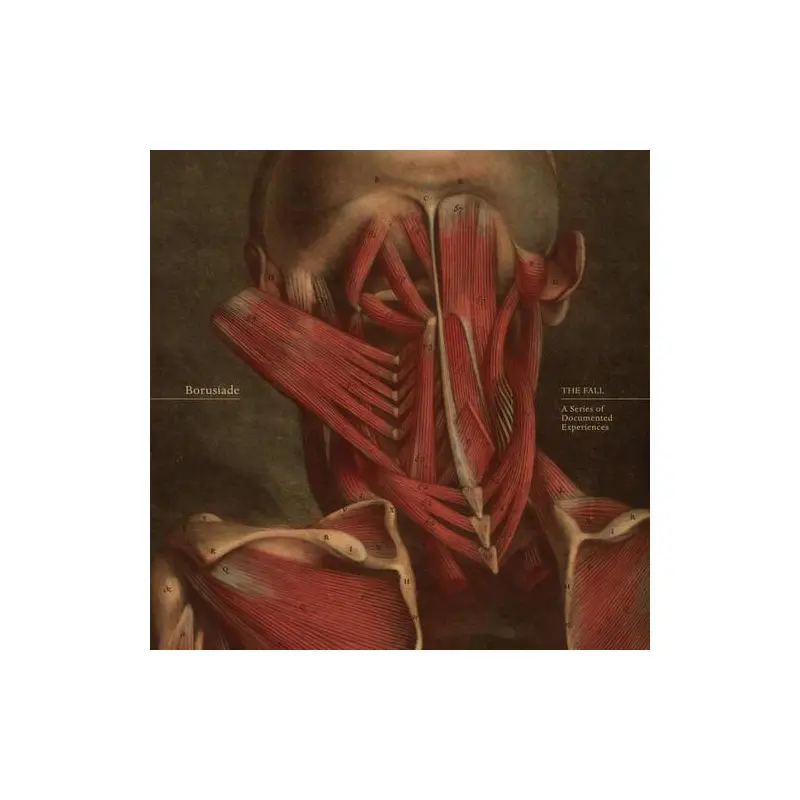 The Fall: A Series Of Documented Experiences - Vinyl LP