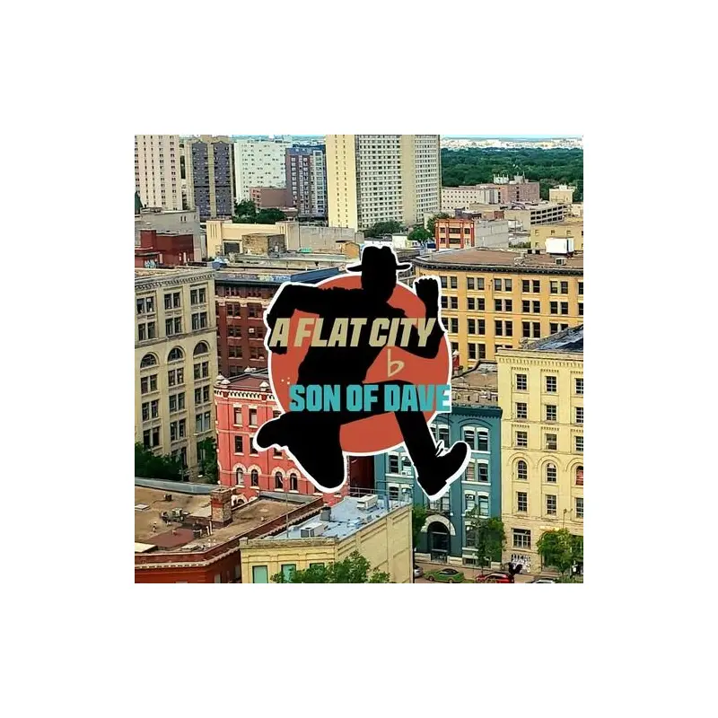 A Flat City - Vinyl LP