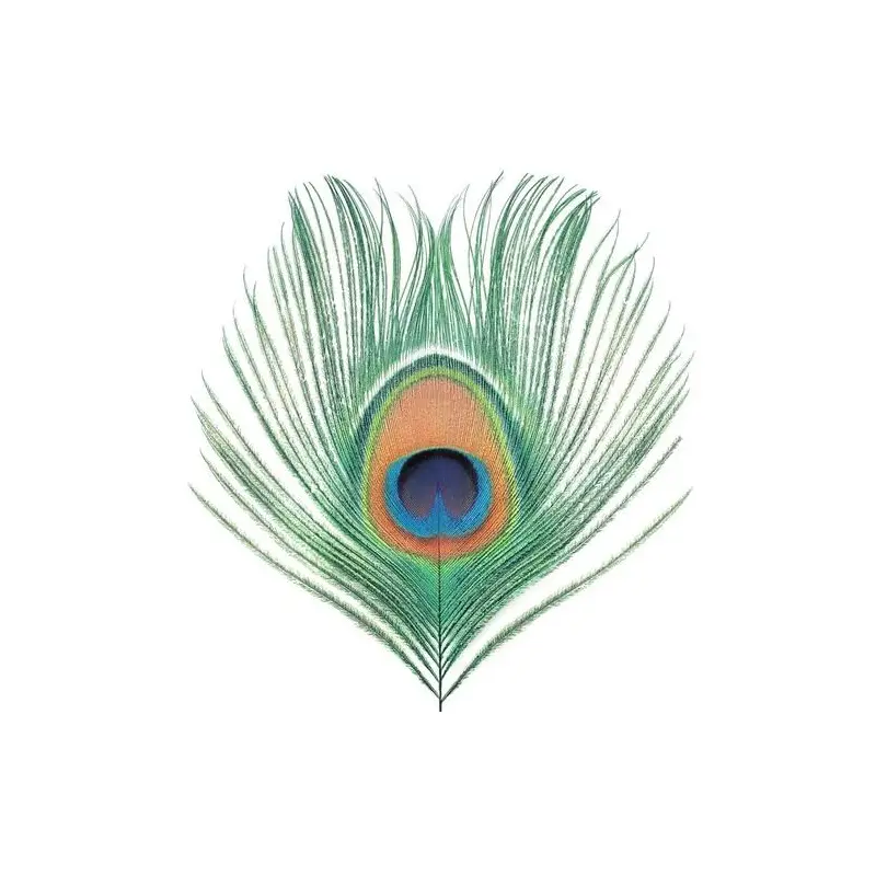 Apple Venus Vol 1 - Vinyl LP