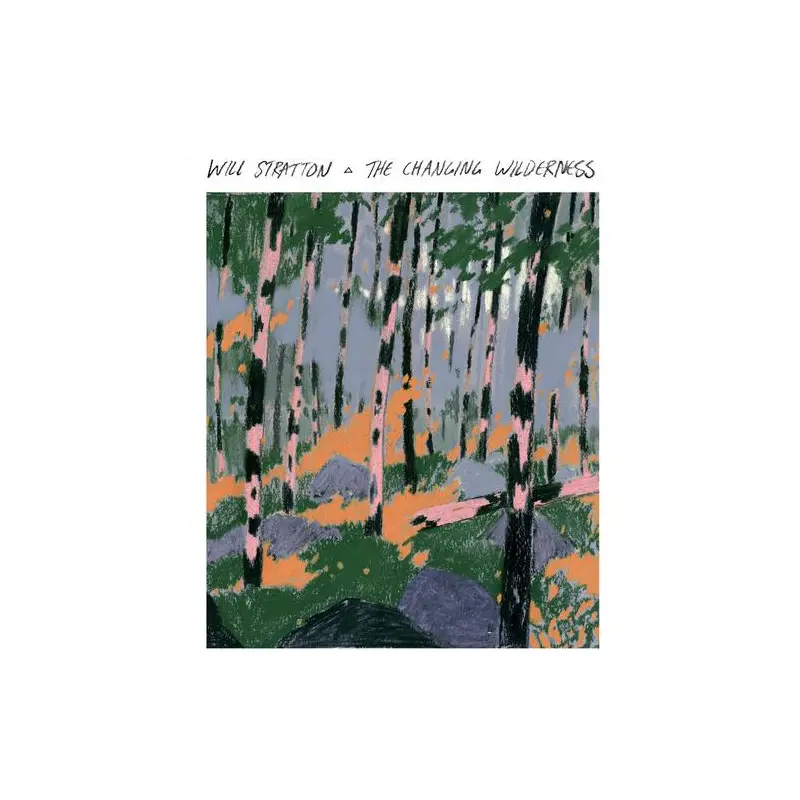 The Changing Wilderness - Vinyl LP