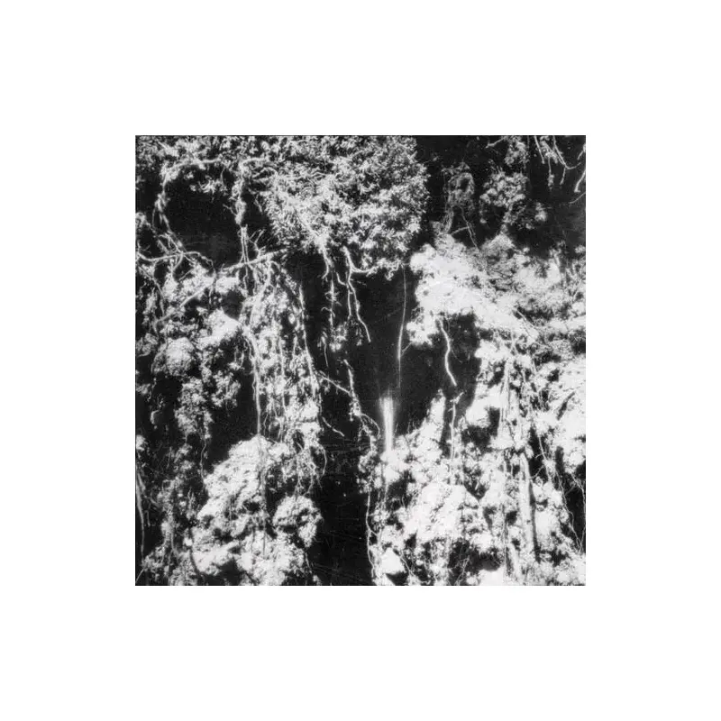 Den Sorte Dod - Vinyl LP