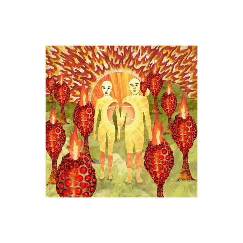 The Sunlandic Twins - Vinyl LP