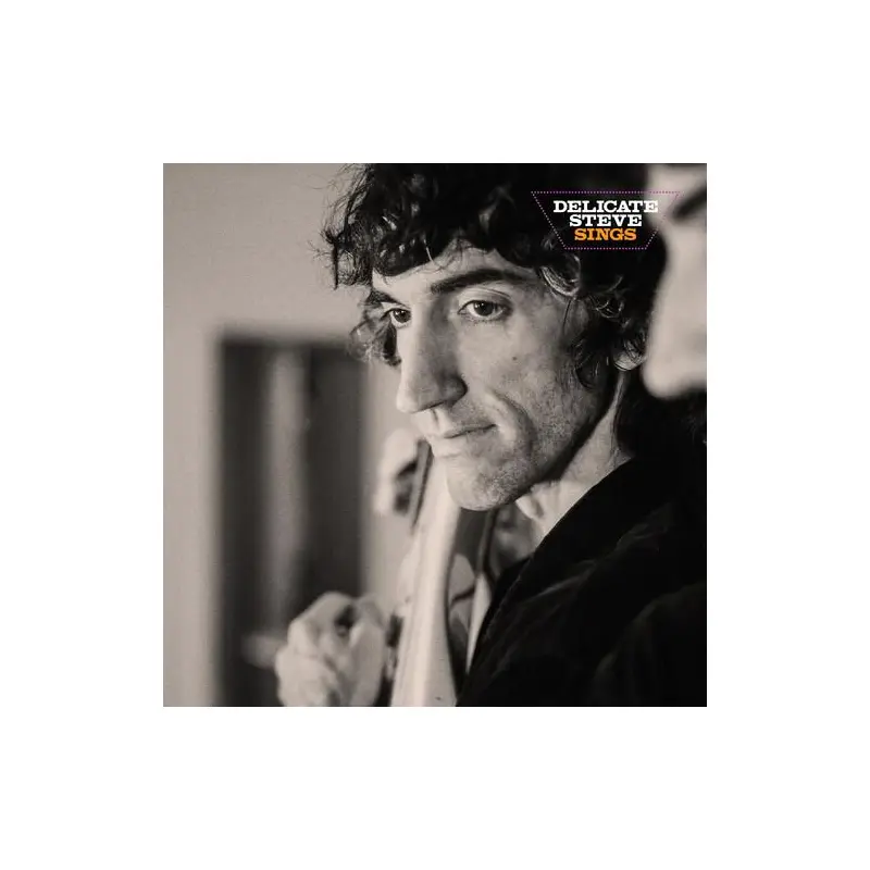 Delicate Steve Sings - Vinyl LP