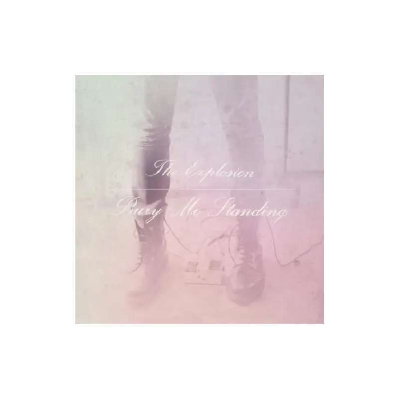 Bury Me Standing - Vinyl LP