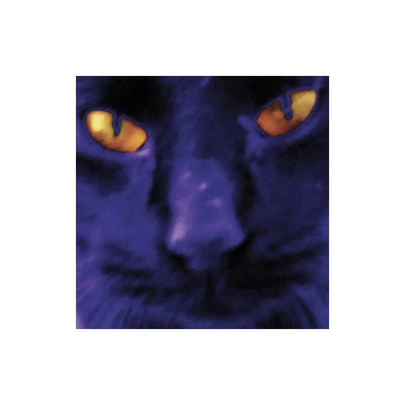 Bobbie's A Girl - Vinyl LP (Black)