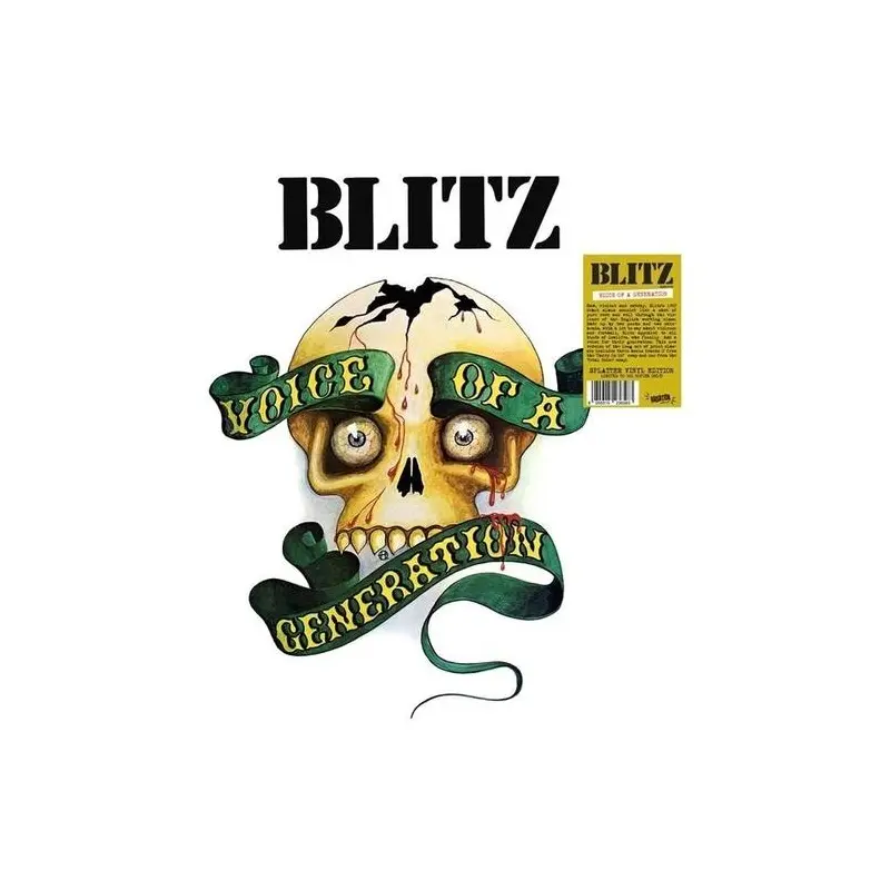 Voice Of A Generation - Vinyl LP